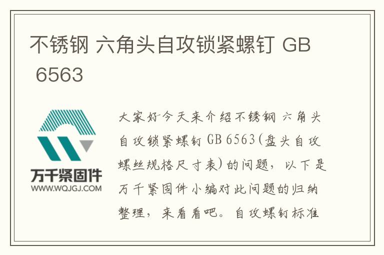 不銹鋼 六角頭自攻鎖緊螺釘 GB 6563