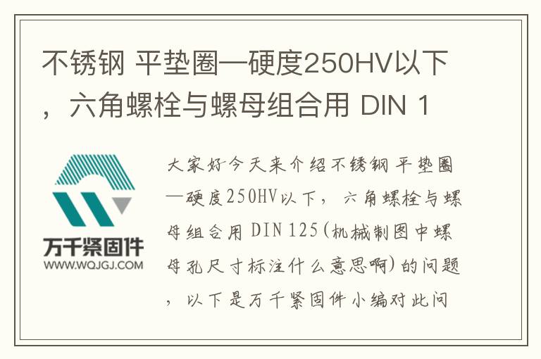 不銹鋼 平墊圈—硬度250HV以下，六角螺栓與螺母組合用 DIN 125